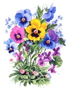 flores