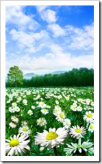 Primavera