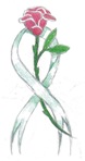 Mitos del cáncer de mama