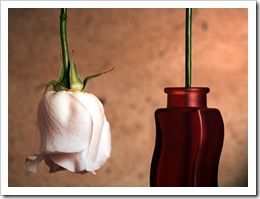 Flor