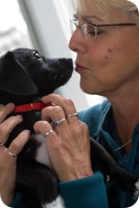 ¿Cuántas veces se puede amar?
