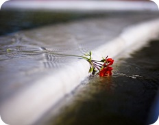 La ingratitud de los hijos