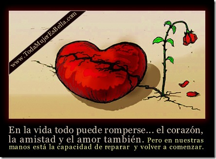 En la vida todo puede romperse... pero en nuestras manos está la capacidad de reparar.