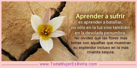 aprender aprender