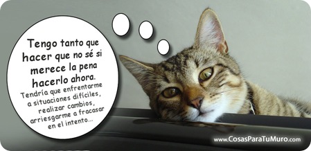 Tengo tanto que hacer... que no sé si merece la pena hacerlo ahora. Tengo tanto que hacer... que no sé si merece la pena hacerlo ahora.