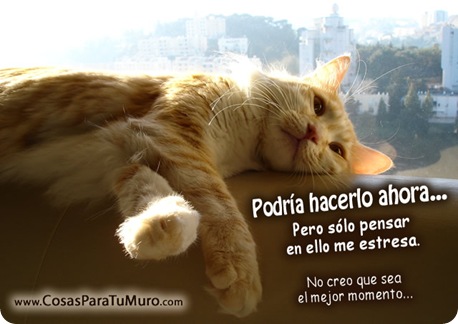 Ahora no es el mejor momento... Ahora no es el mejor momento...