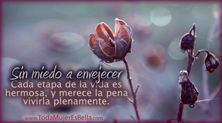 Sin miedo a envejecer Sin miedo a envejecer