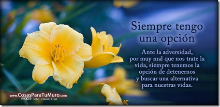 opcion opcion