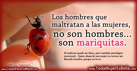 Pulsa sobre la foto para verla, guardarla y compartirla