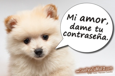 Pulsa sobre la foto para verla AMPLIADA y para poder compartirla.
