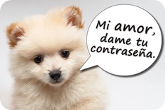 Mi amor, ¿cuál es tu contraseña? Mi amor, ¿cuál es tu contraseña?