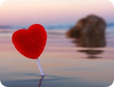 La revolución del amor