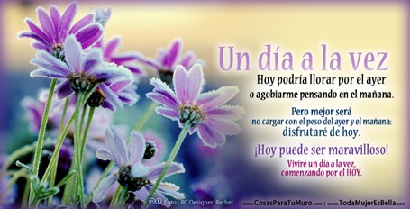 Pulsa sobre la foto para verla ampliada y compartirla.