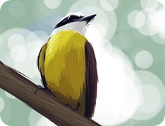 No es malo pedir disculpas