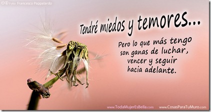 Liberarnos de los temores