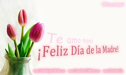 feliz día de la madre Feliz día de la madre