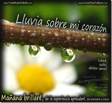 Llueve sobre mi corazón