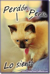 perdon