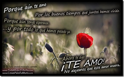 ¡Que no muera el amor!