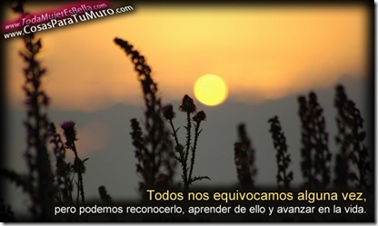 Todos cometemos errores...
