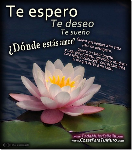 Espero un buen amor