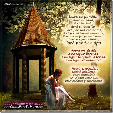 Lloré por tu culpa