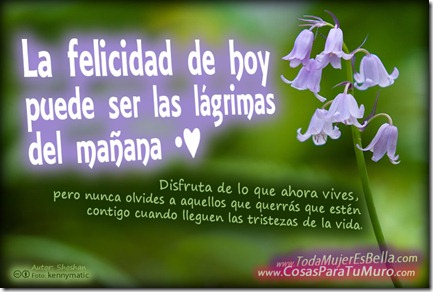 la felicidad de hoy la felicidad de hoy