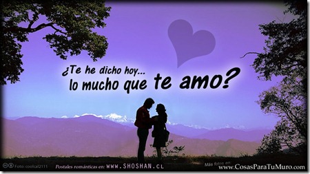 ¿Te he dicho hoy lo mucho que te amo? 