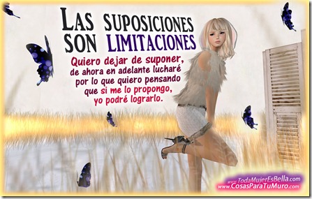 Las suposiciones son limitaciones Las suposiciones son limitaciones