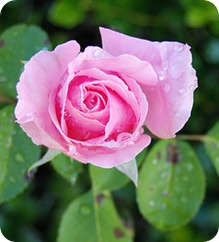 Nunca descuides tu imagen