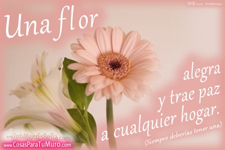 Una flor en casa