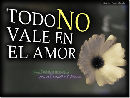 No todo vale en el amor No todo vale en el amor
