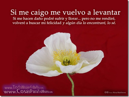 Si me caigo me vuelvo a levantar Si me caigo me vuelvo a levantar