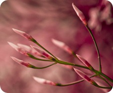 Soy una mujer única, imperfecta… pero soy yo misma Soy una mujer única, imperfecta… pero soy yo misma