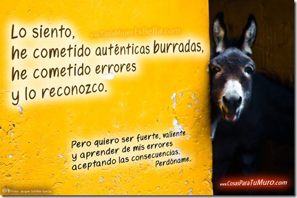 Lo siento, he cometido errores y burradas