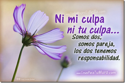 Ni tu culpa ni la mía