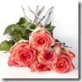 rosas2b rosas2b