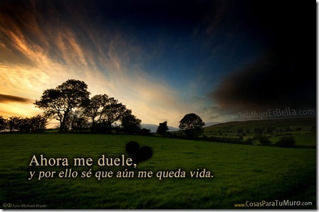 Me duele Me duele