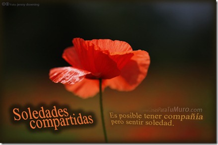 Soledades compartidas Soledades compartidas