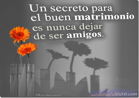 Amigos en el matrimonio