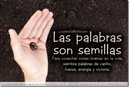 Las palabras son semillas Las palabras son semillas