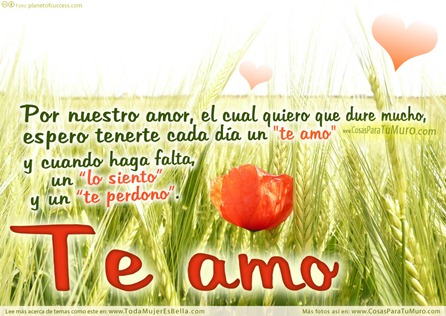 Te amo, lo siento, te perdono ❤