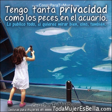 Yo lo publico todo en facebook