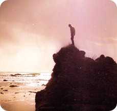 Ellos también sufren en nuestras manos