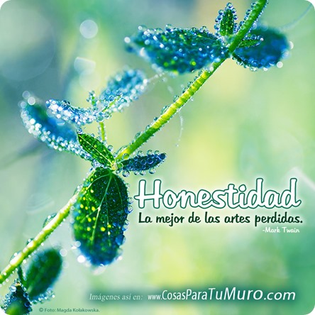 Honestidad, imagen de frase célebre.