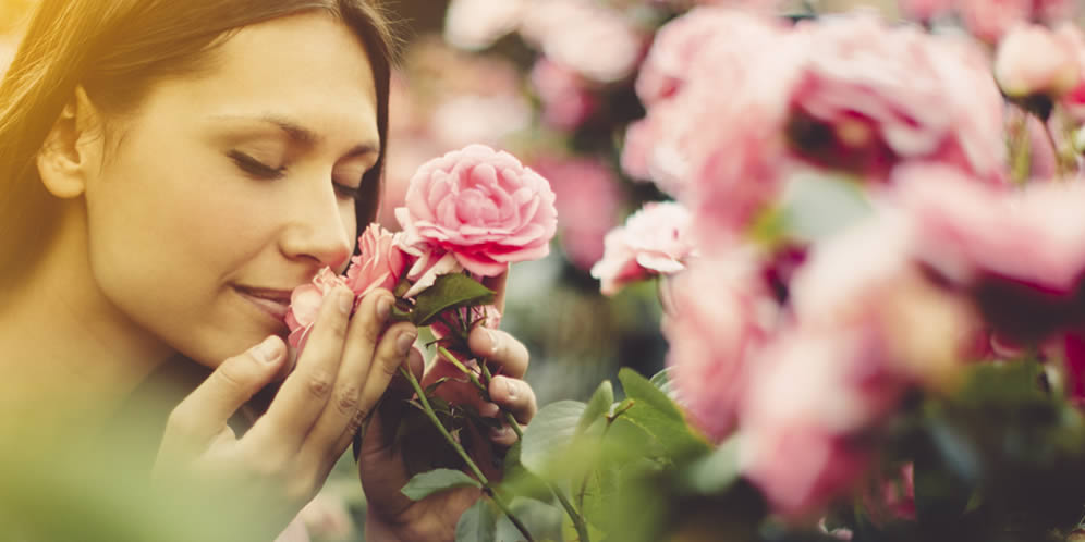¿Quieres ser feliz? Lo necesitamos, ¿verdad?