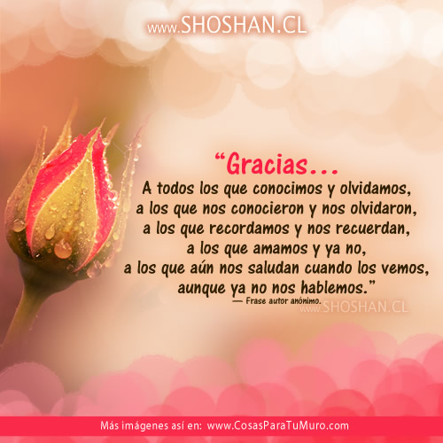gracias