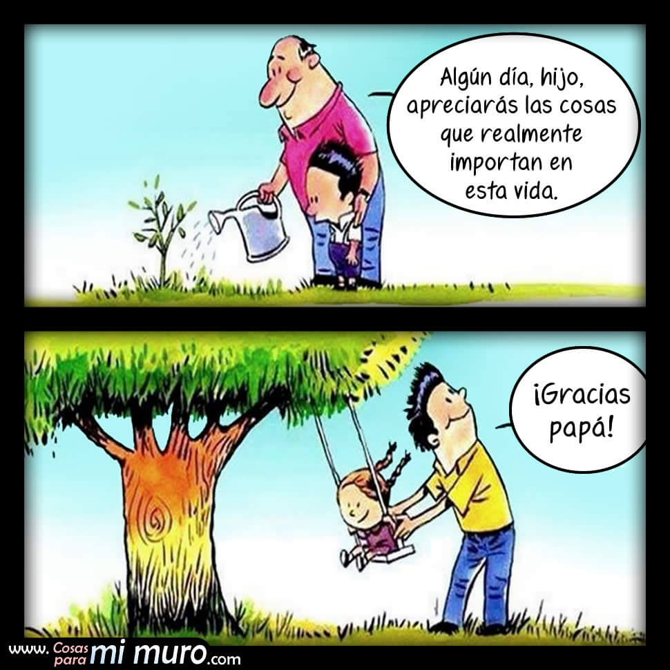 Algún día apreciarás lo importante de la vida Algún día apreciarás lo importante de la vida