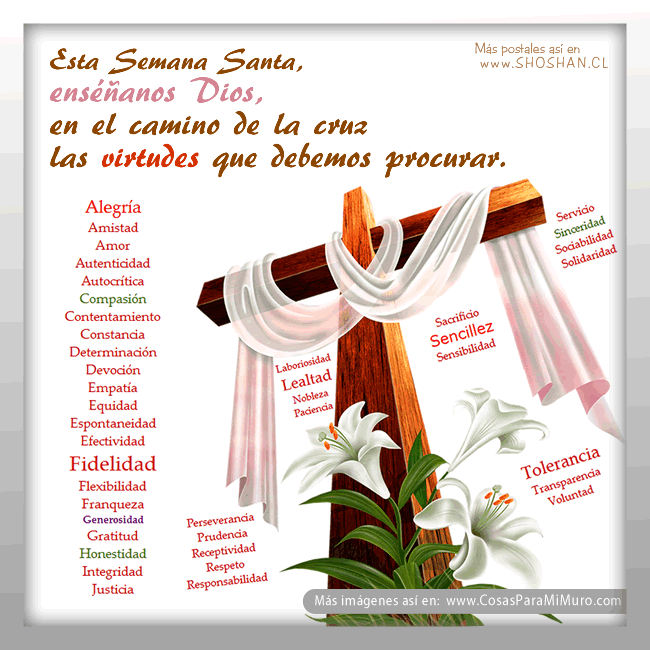 Valores y virtudes de la cruz