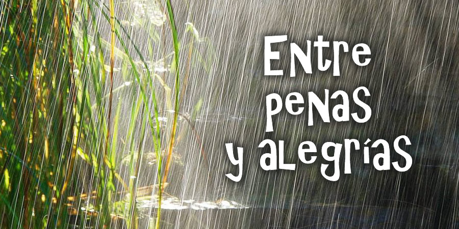 Viviendo entre penas y alegrías